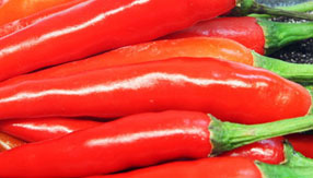 【永久授权码】免费获取的短信呼叫软件